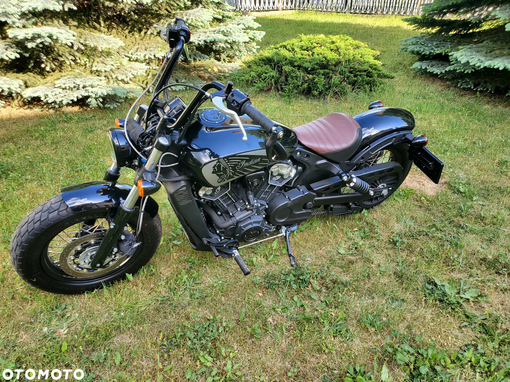 Indian Scout - 10