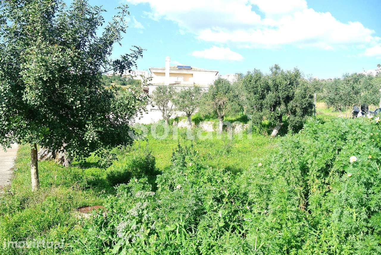 Terreno Para Construção  Venda em Albufeira e Olhos de Água,Albufeira - Grande imagem: 4/8