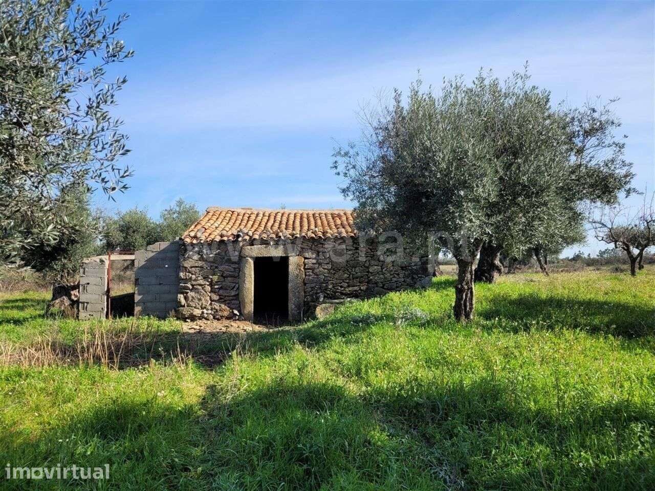 Quintinha / Fundão, Atalaia do Campo - Grande imagem: 2/20