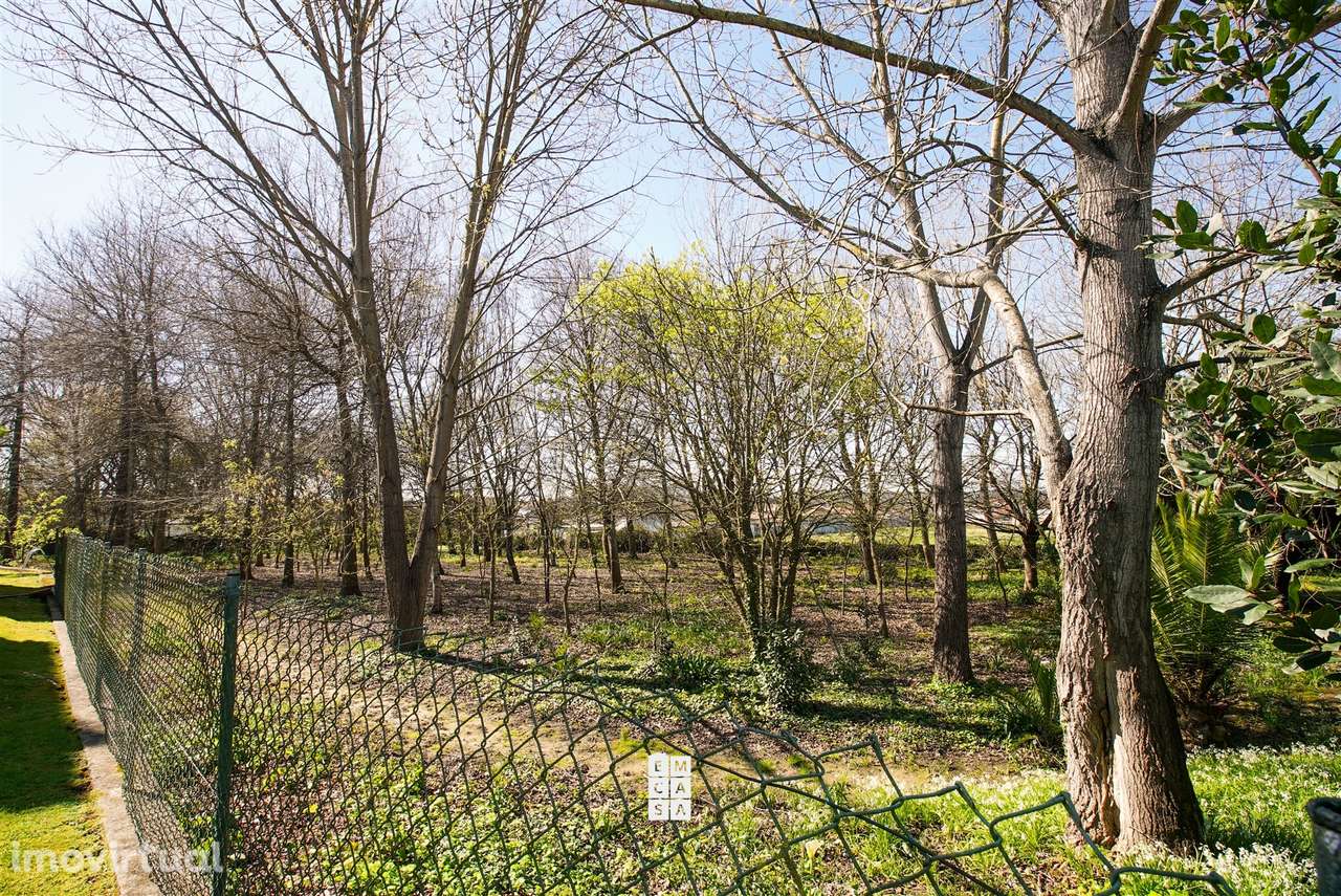 Terreno Para Construção  Venda em Esmoriz,Ovar - Grande imagem: 3/17