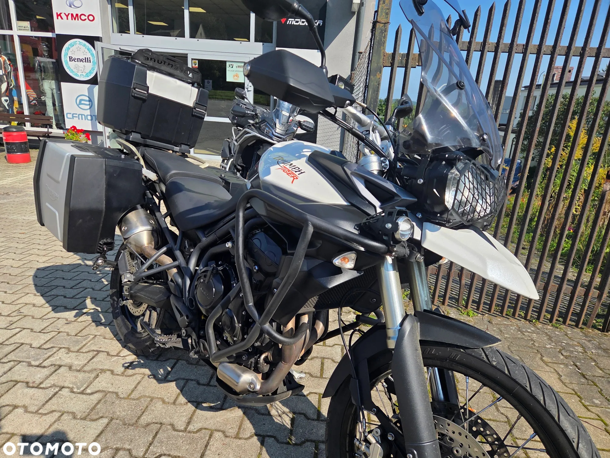 Triumph Tiger - 3