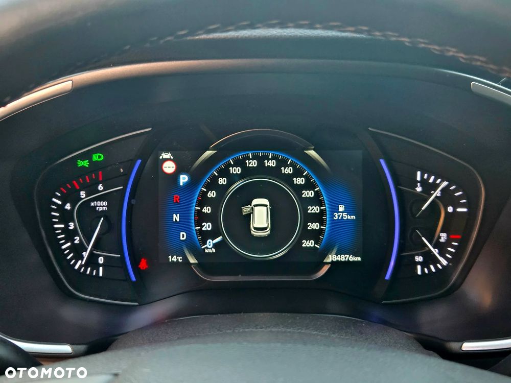 Hyundai Santa Fe 2.0 CRDi Platinum 4WD - 24