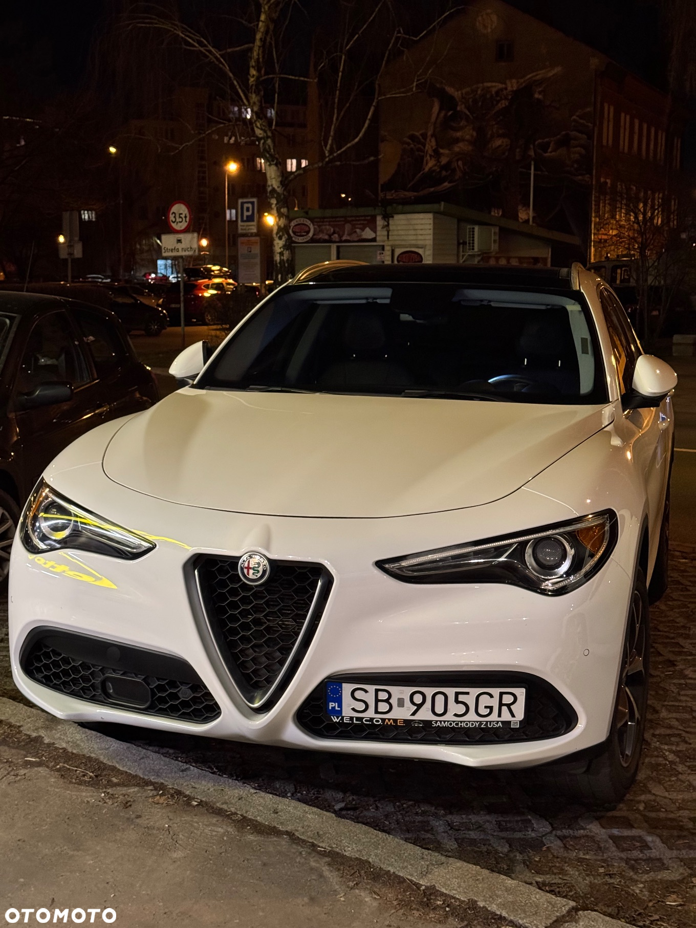 Alfa Romeo Stelvio 2.0 Turbo TI Q4 - 16