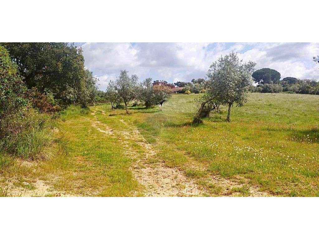 Terreno para Venda em Montargil - Grande imagem: 4/11