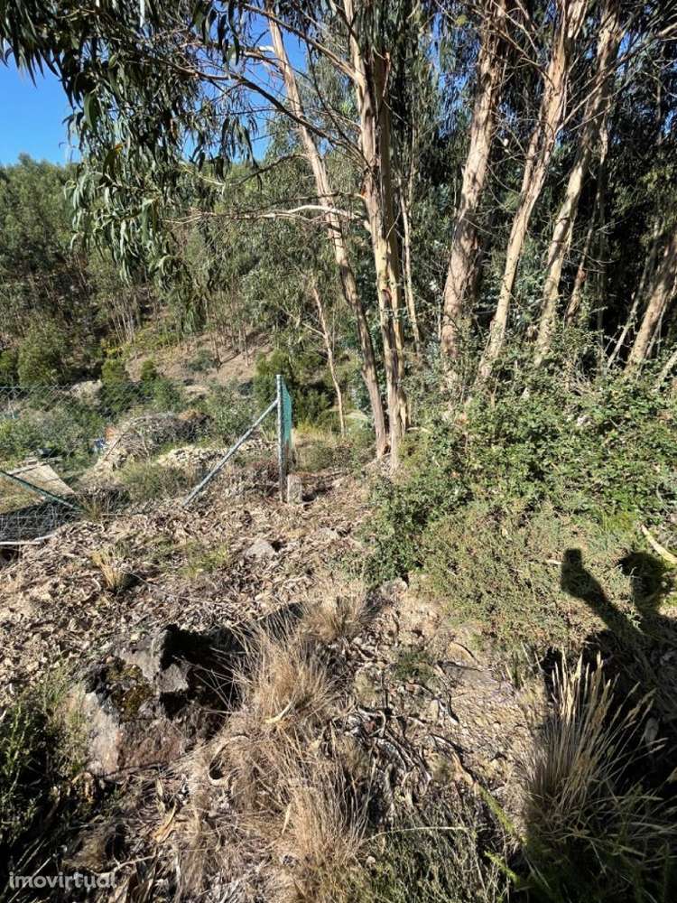 Terreno Localizado em Varziela - 75 000m2 - Grande imagem: 4/12