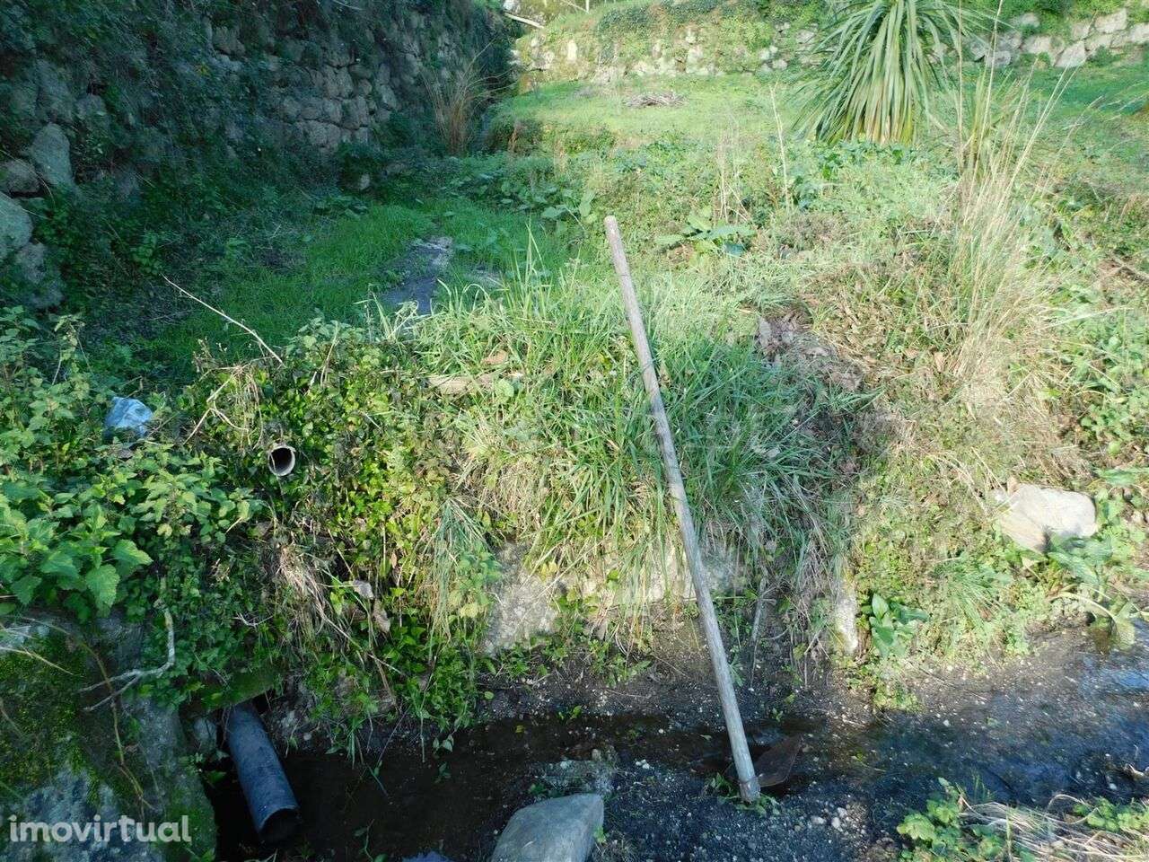 Quintinha / Seia, Sandomil - Grande imagem: 5/20