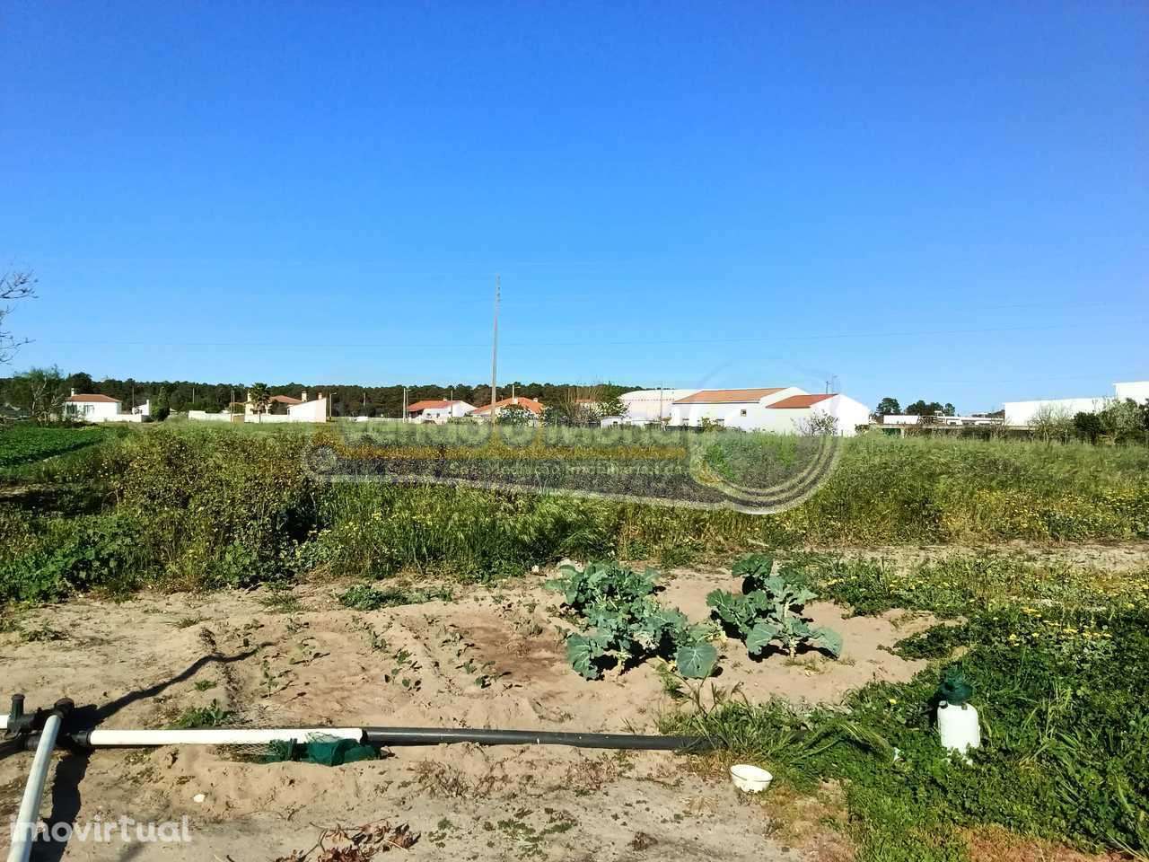 Terreno em Foros de Salvaterra (F729) - Grande imagem: 3/5