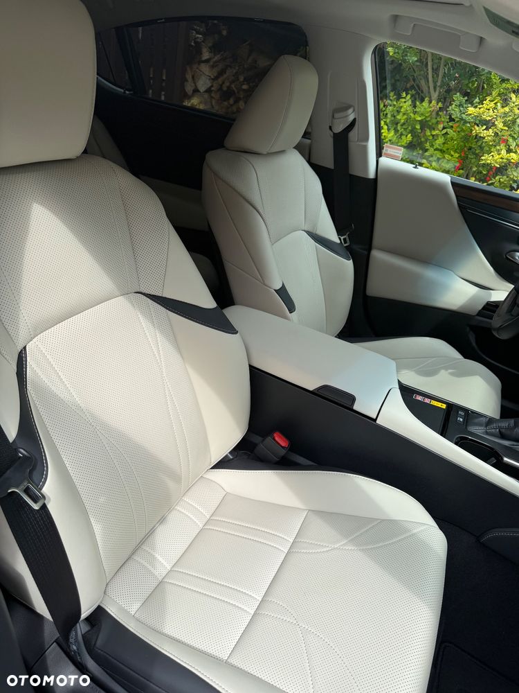 Lexus ES 300h Omotenashi - 9