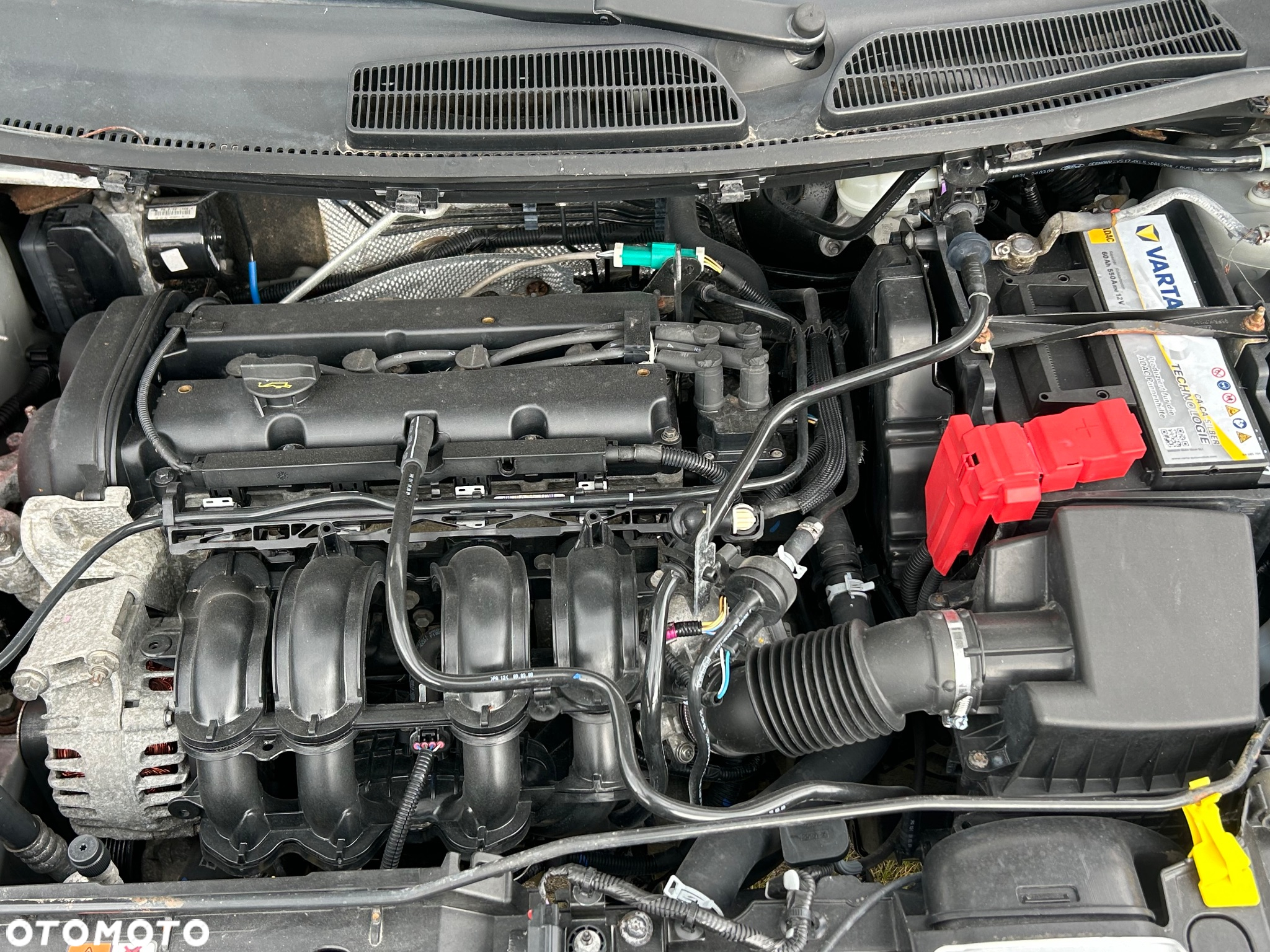 Ford Fiesta 1.25 Ambiente - 24