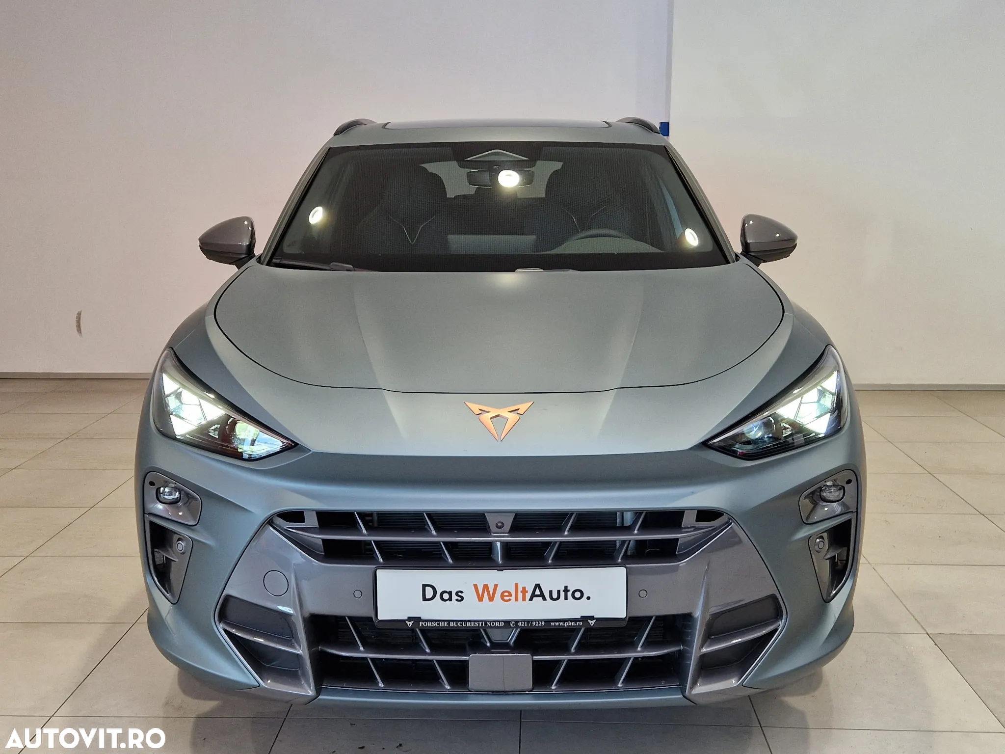 Cupra Terramar - 4