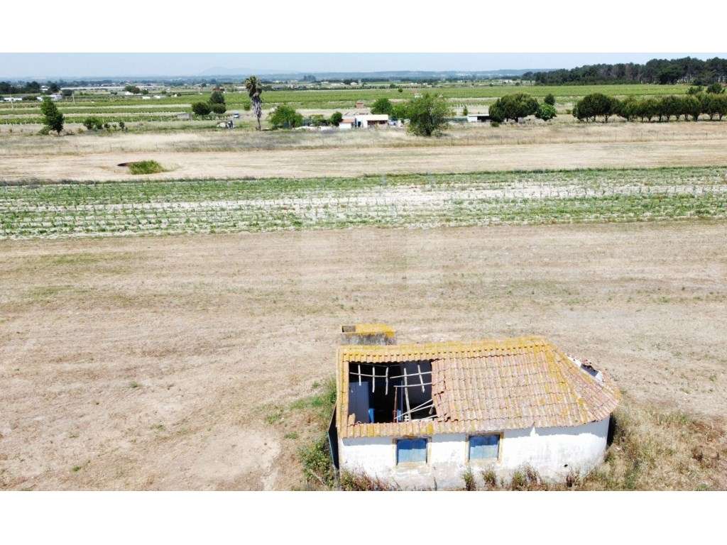 QUINTA EM ALMEIRIM - Grande imagem: 3/22