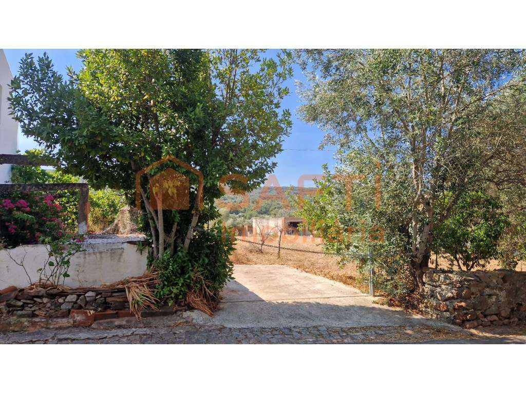 Grande Potencial - Terreno com 2 casas habitáveis - Grande imagem: 5/5
