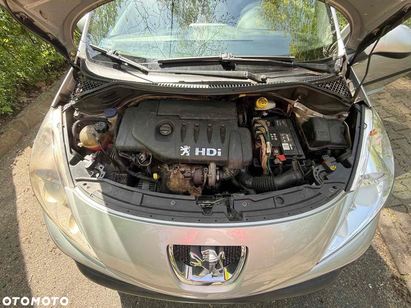 Peugeot 207 - 13