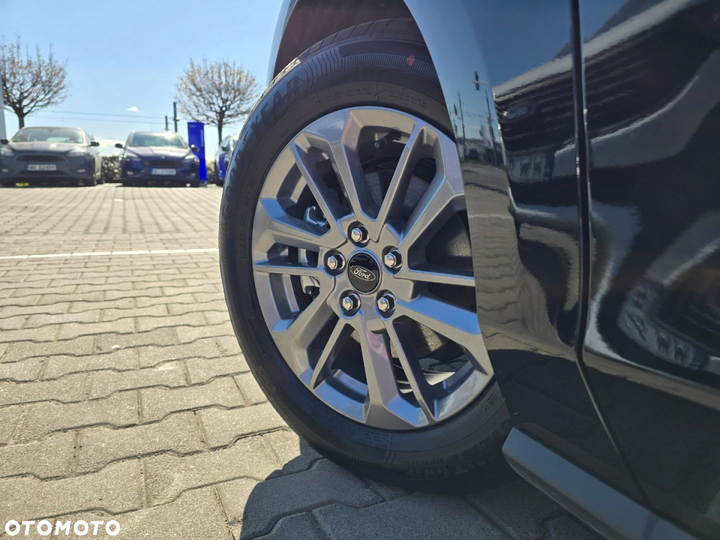 Ford Focus - 24