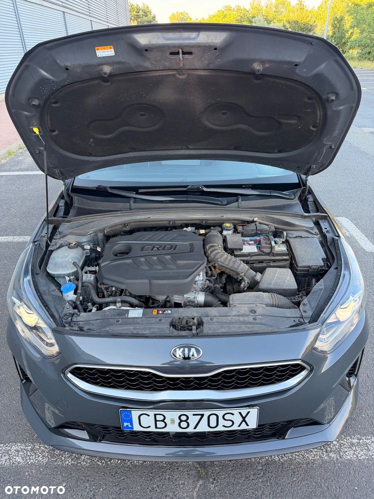 Kia ProCeed 1.6 CRDi GT Line DCT - 19