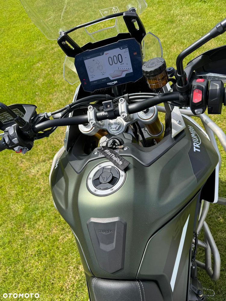 Triumph Tiger - 11