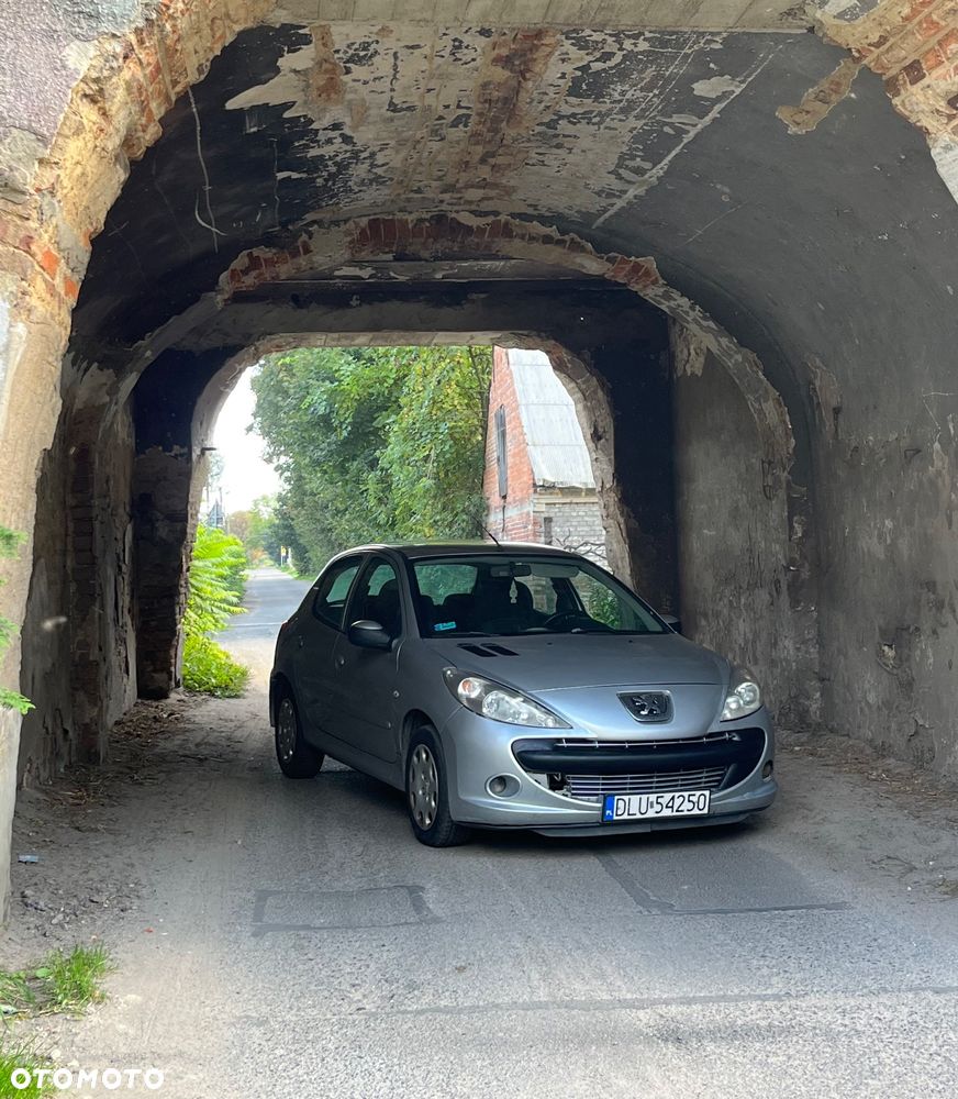 Peugeot 206 plus - 1