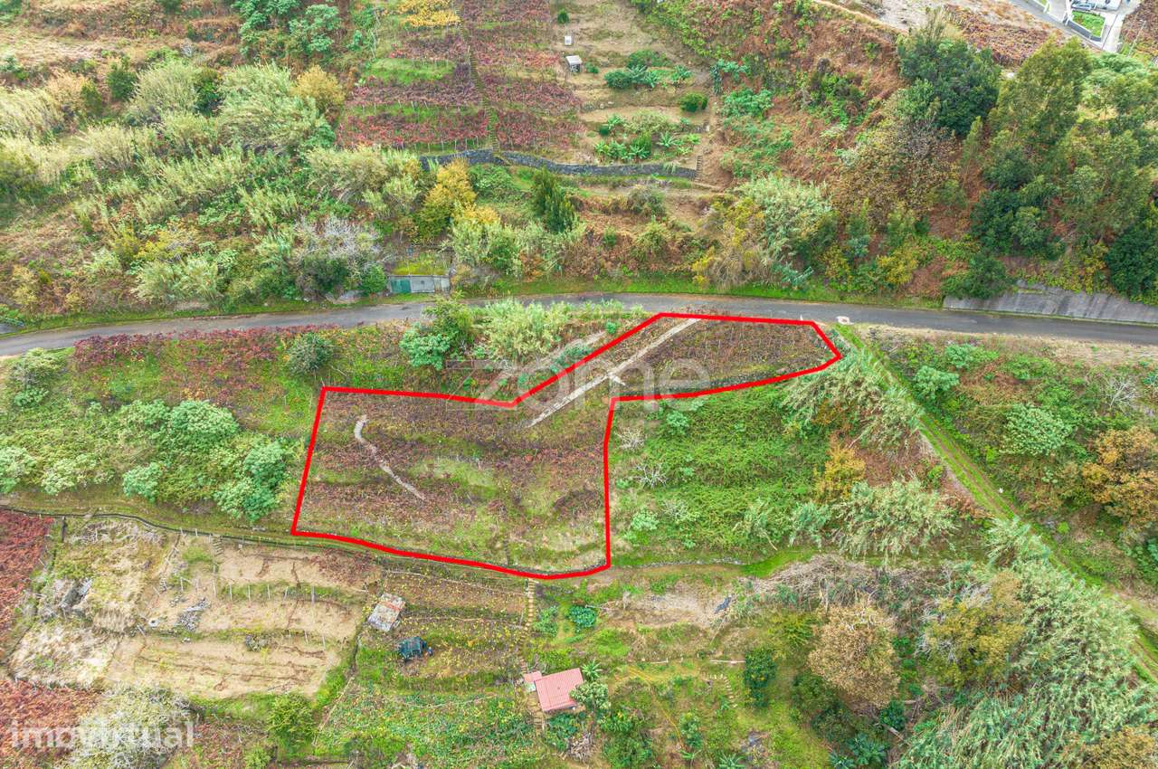 Refúgio perfeito com uma área de 1253 m2 em São Vicente - Grande imagem: 5/18