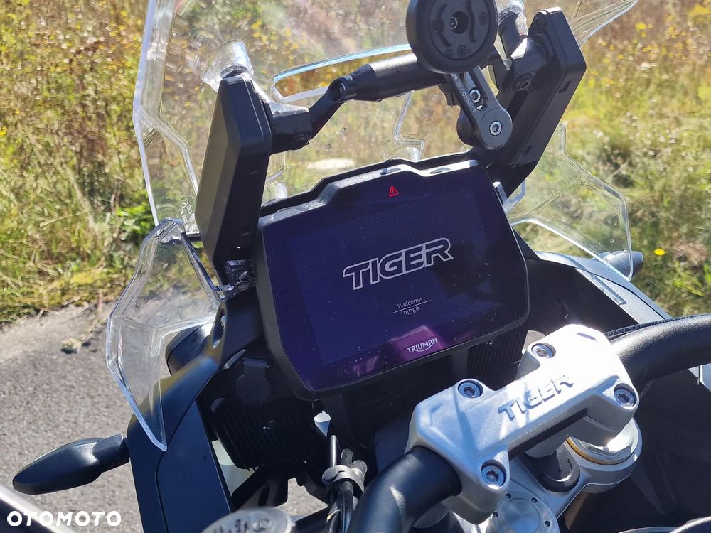 Triumph Tiger - 5