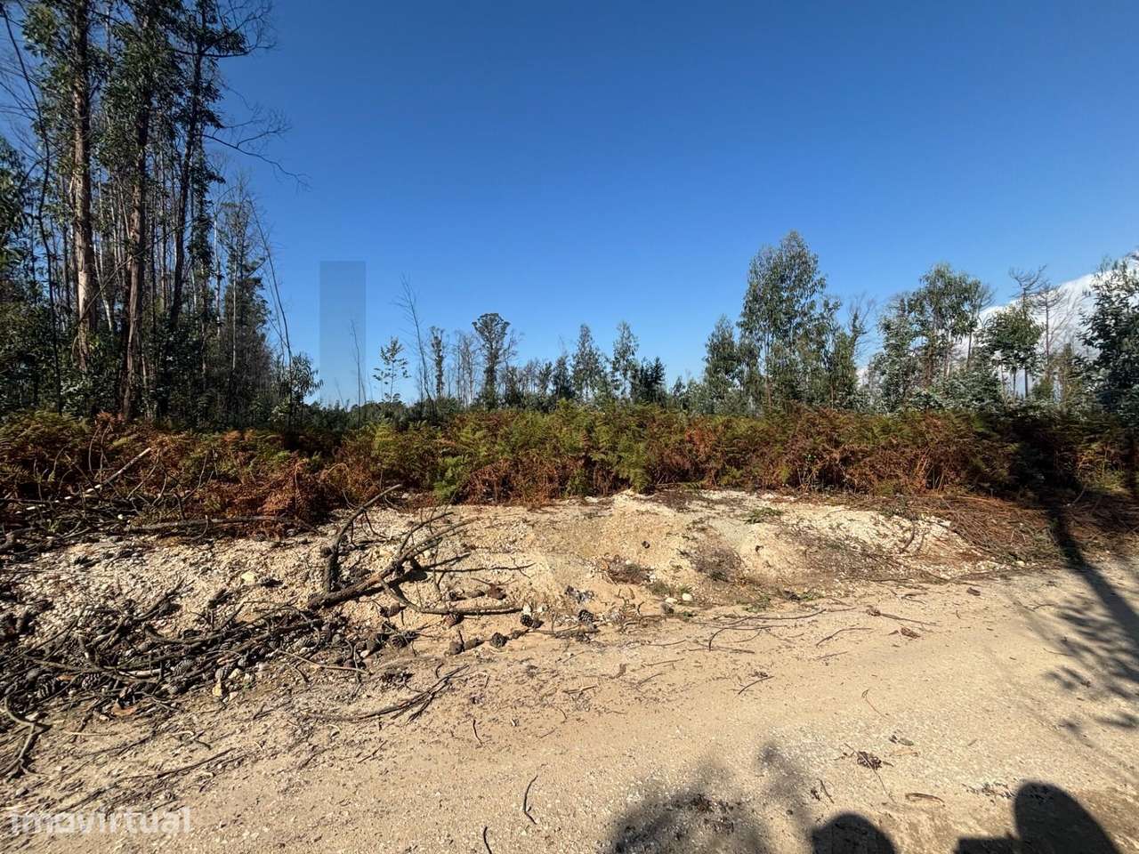 Terreno com 4400 m2 - Grande imagem: 3/6