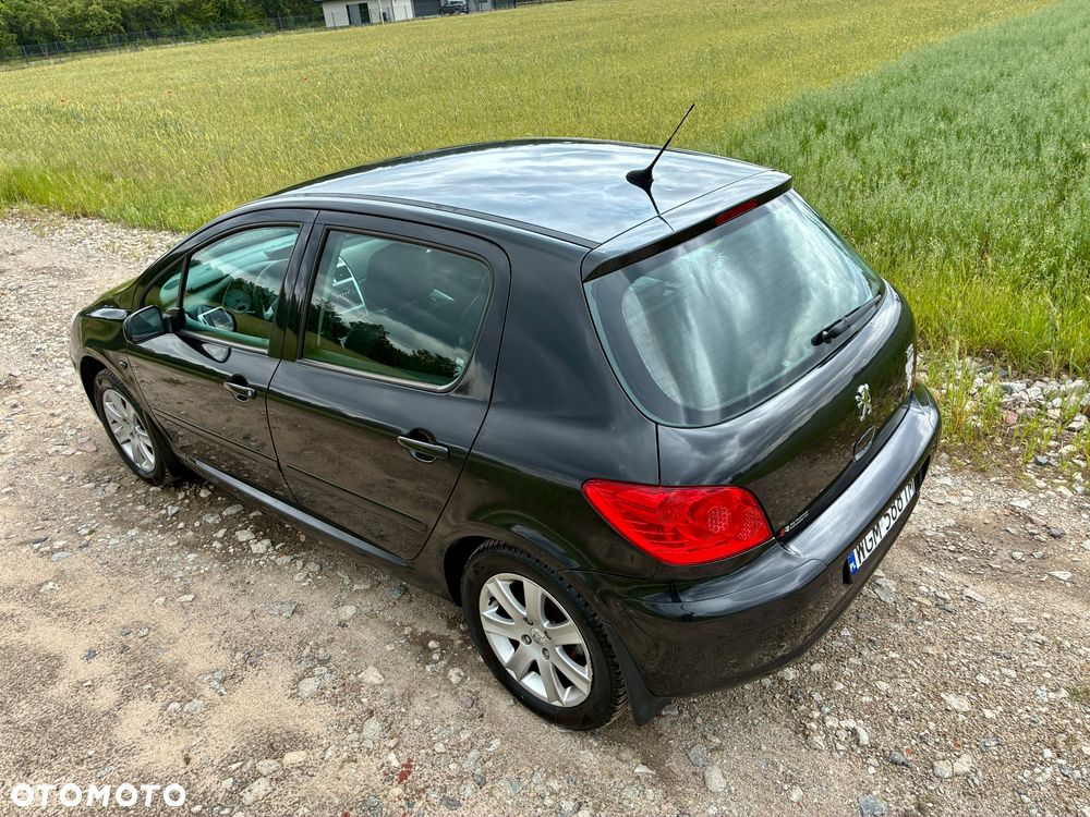 Peugeot 307 - 15