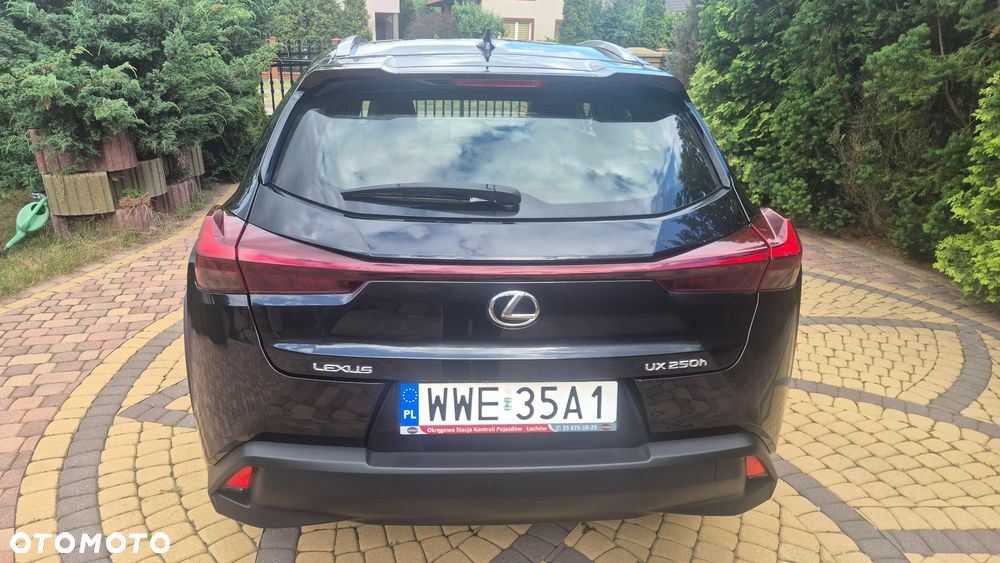 Lexus UX 250h Business Edition - 6