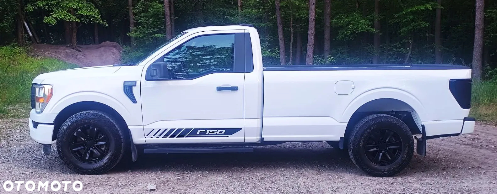Ford F150 - 5