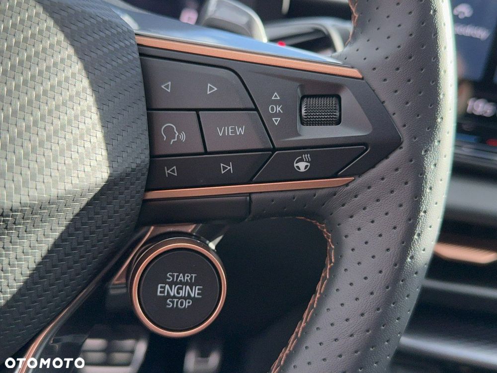Cupra Terramar - 20