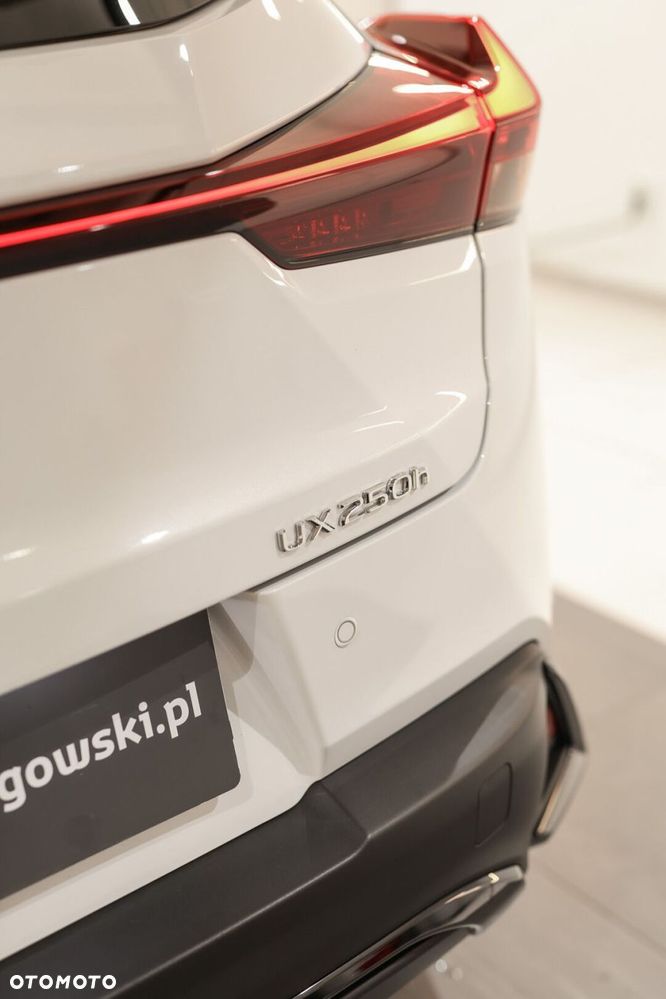 Lexus UX 250h GPF F Sport Design 2WD - 32