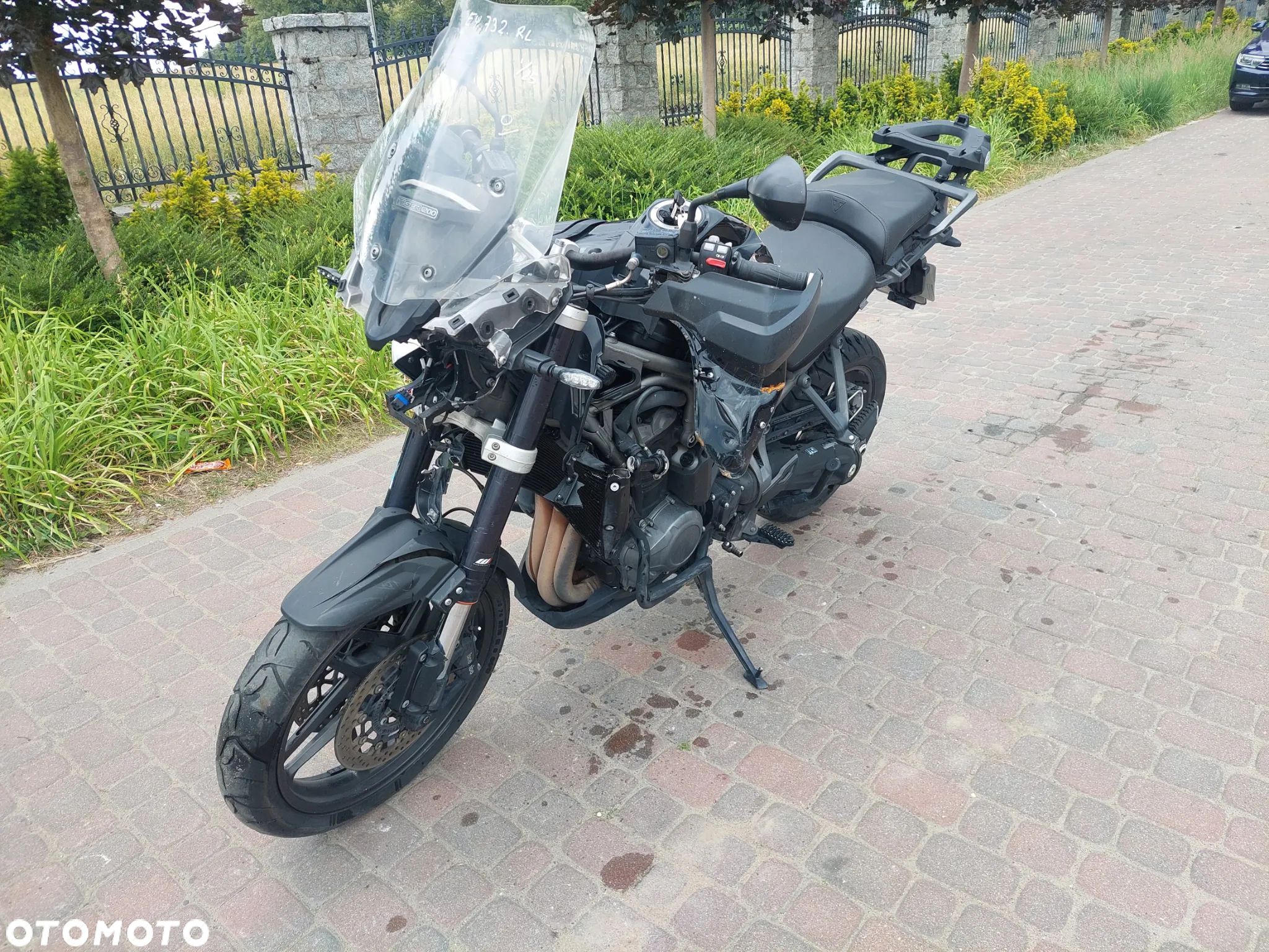 Triumph Tiger - 1