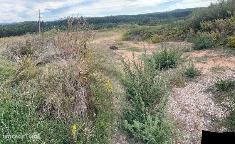 Terreno com viabilidade industrial tipo 1 no Vale Francas - Grande imagem: 3/4