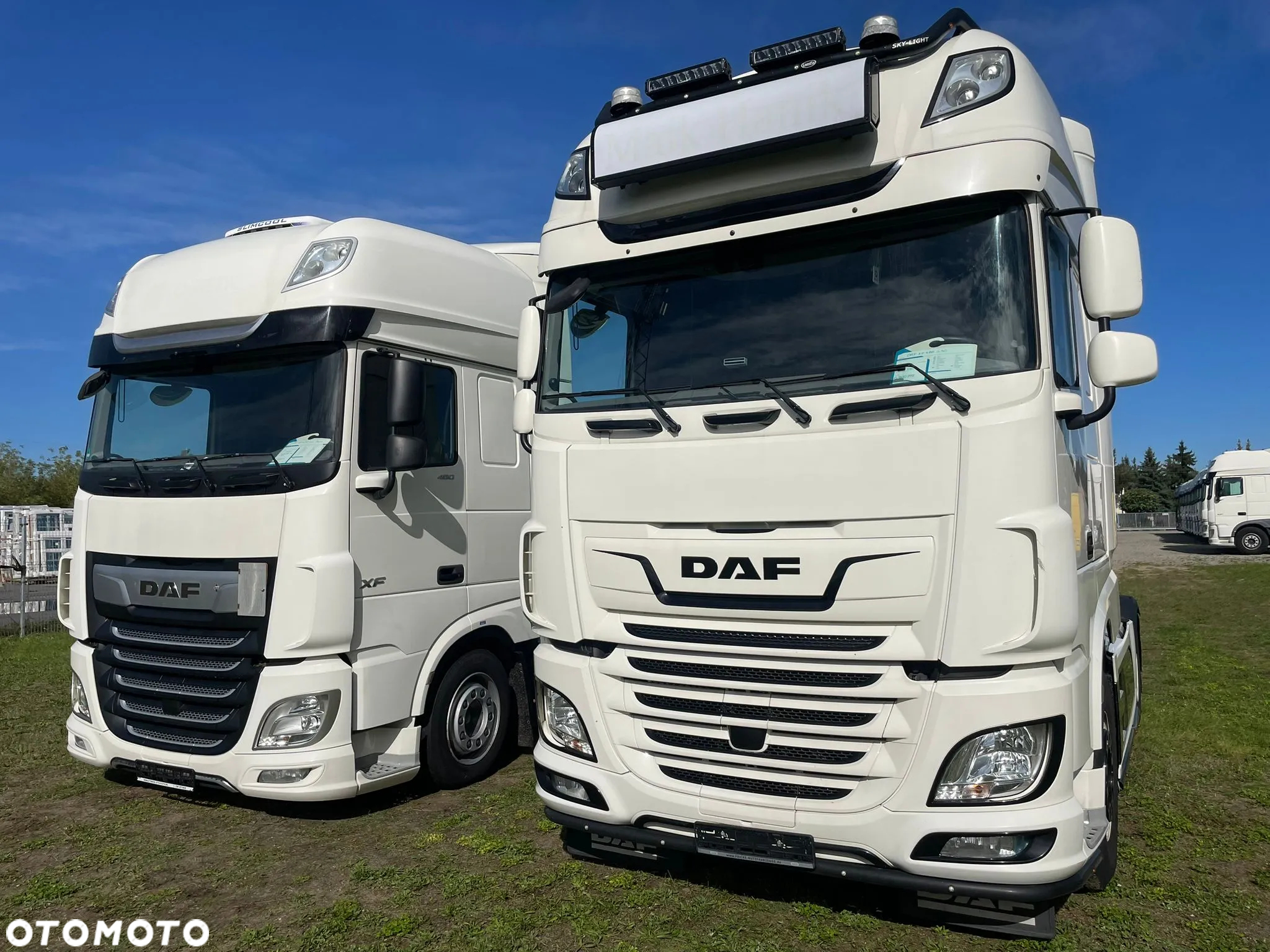 DAF - 3