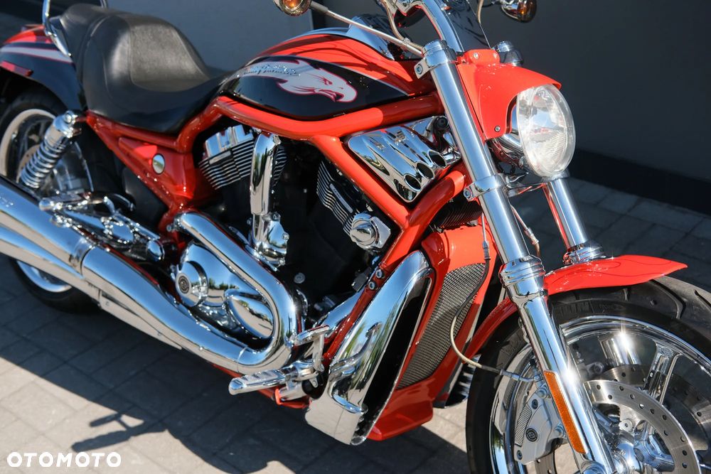 Harley-Davidson Softail V-Rod - 25
