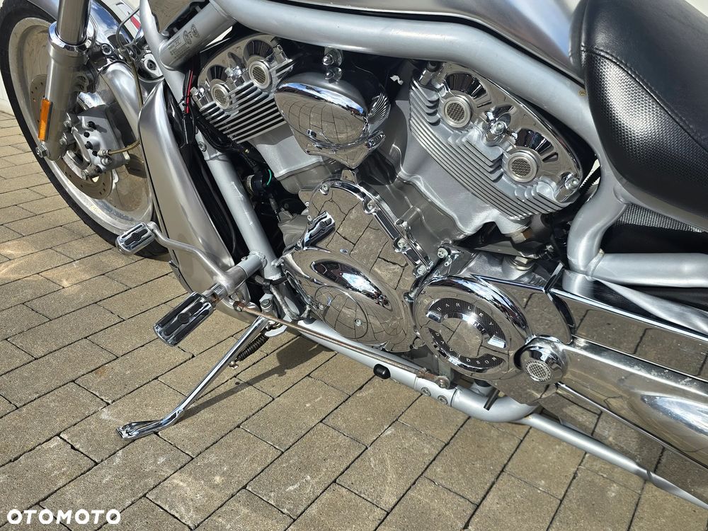 Harley-Davidson Softail V-Rod - 11