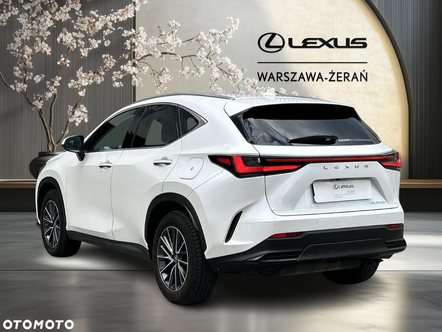 Lexus NX - 5