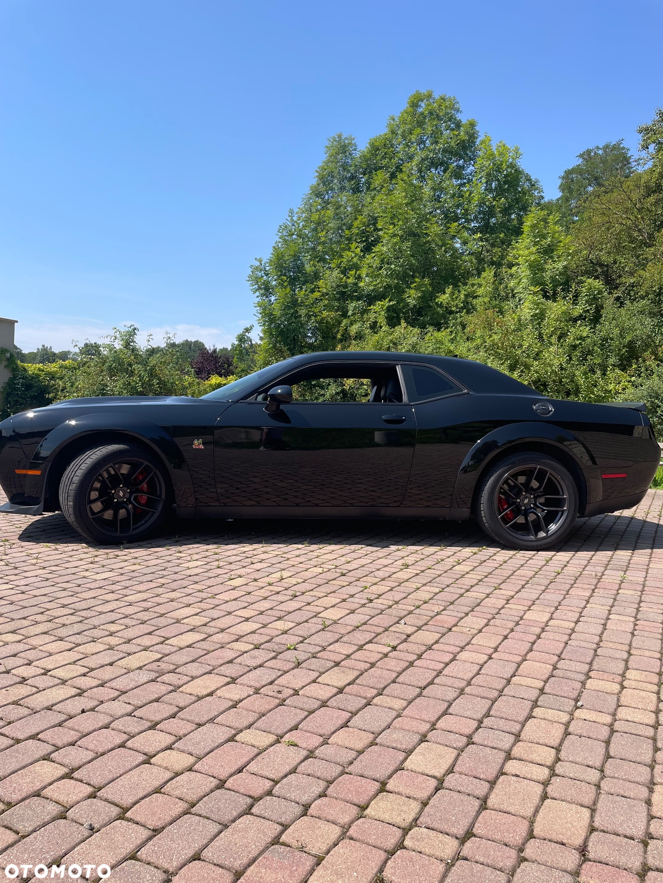 Dodge Challenger 6.4 Scat PackWidebody - 2