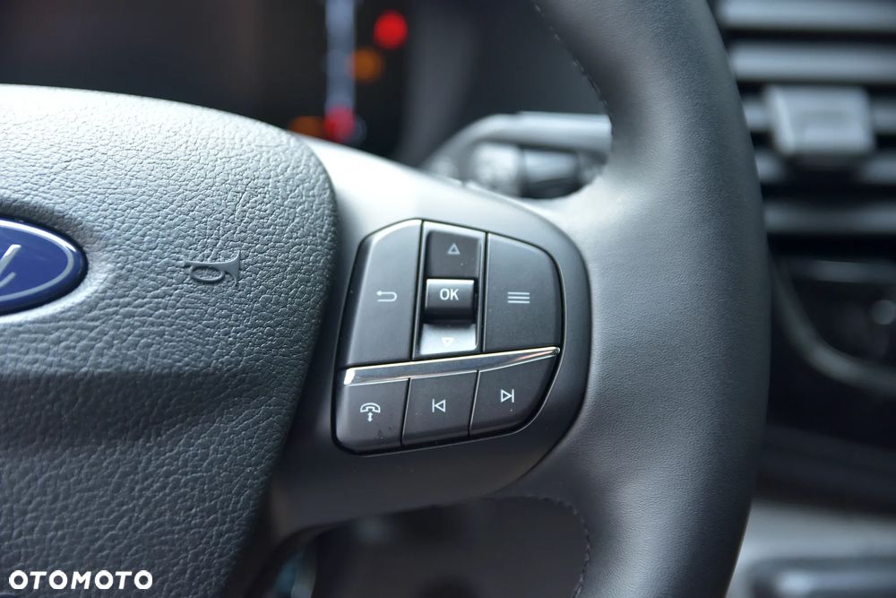 Ford TRANSIT 2.0 EcoBlue 165KM HDT6 A10 RWD LIMITED BUS M2 460 L4 - 13