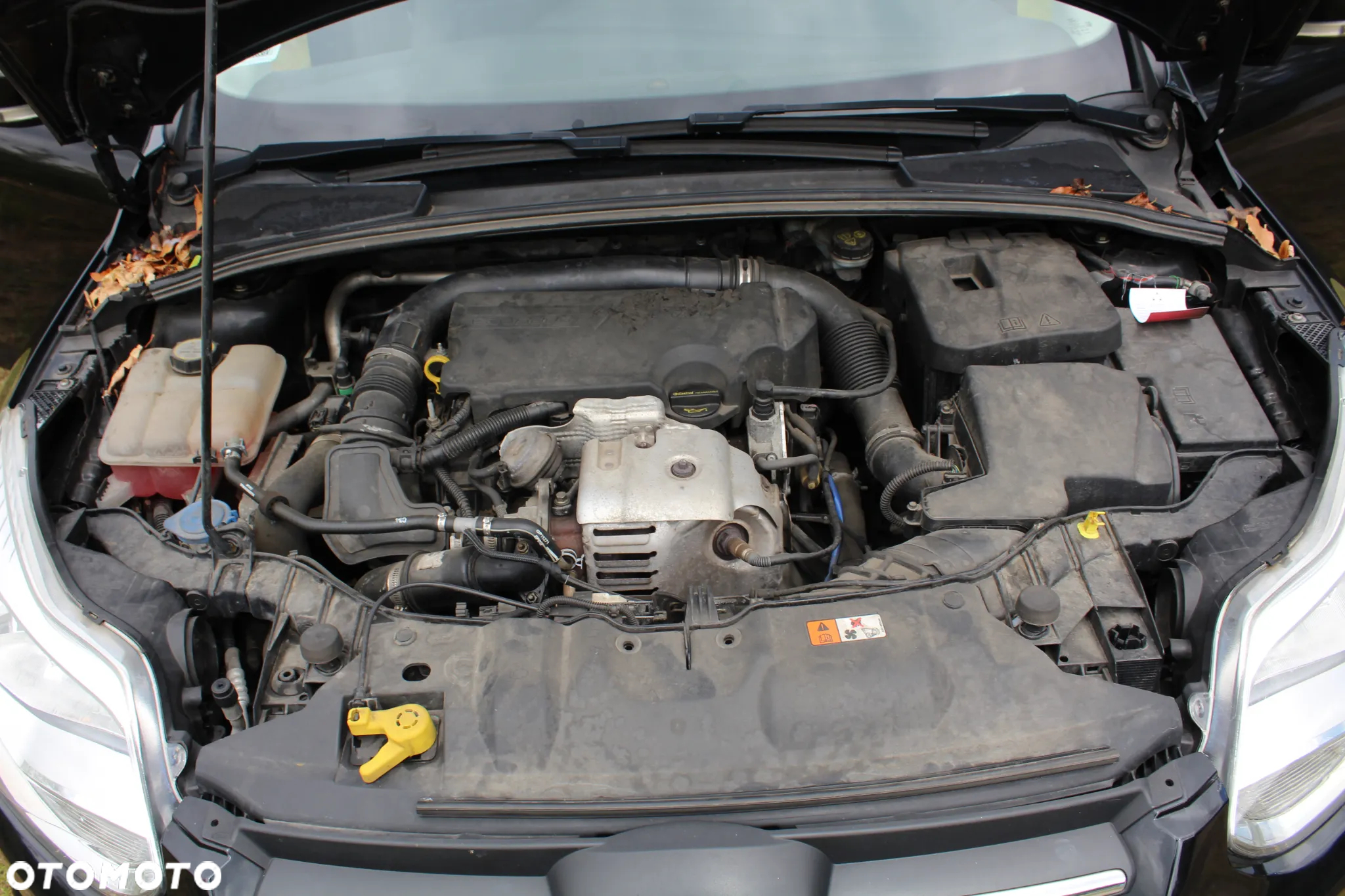 Ford Focus - 13
