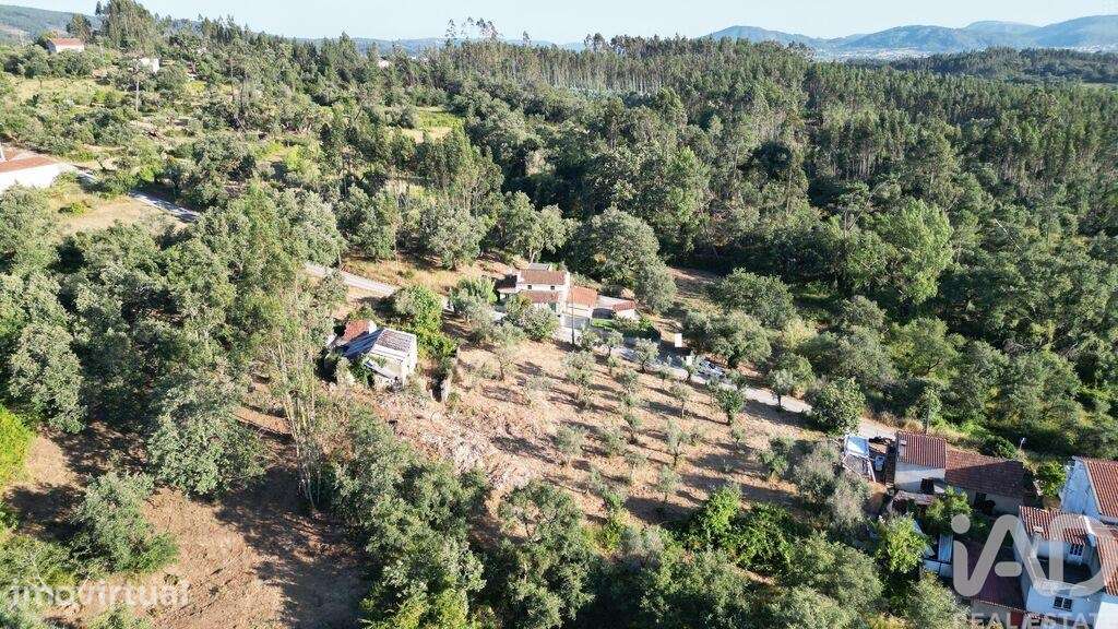 Casa / Villa em Cumeeira de 45 m2 - Grande imagem: 5/22