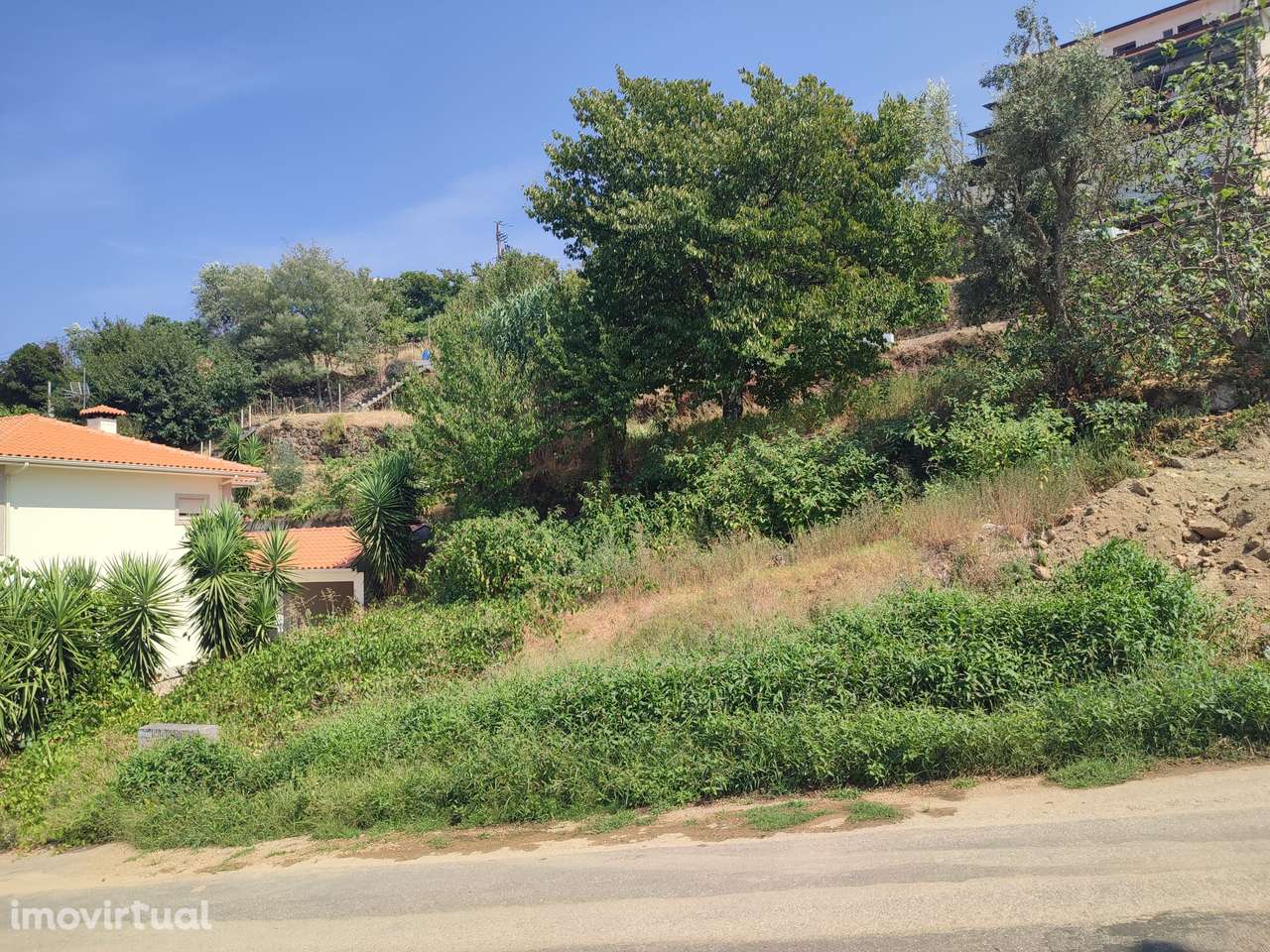 Lote para construção de moradia com 4 frentes, junto ao Rio Douro - Grande imagem: 4/11