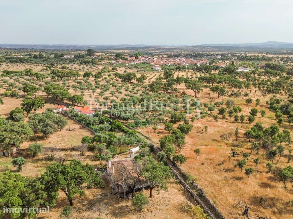 Quintinha de 1.8 hectares em Medelim - Grande imagem: 2/31