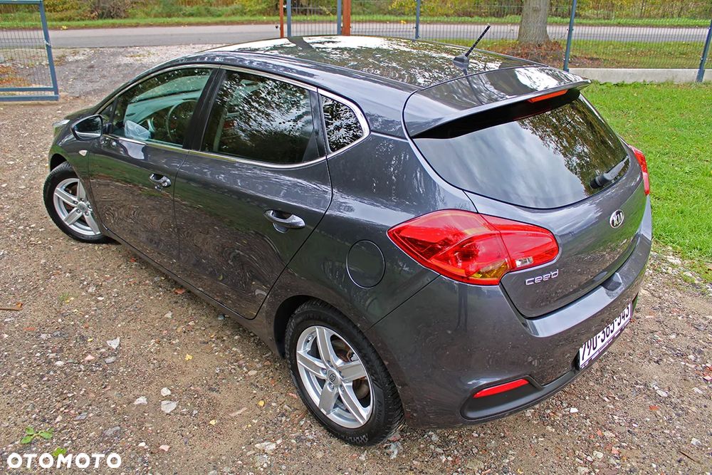 Kia Ceed 1.6 CRDi 128 Fifa World Cup Edition - 33
