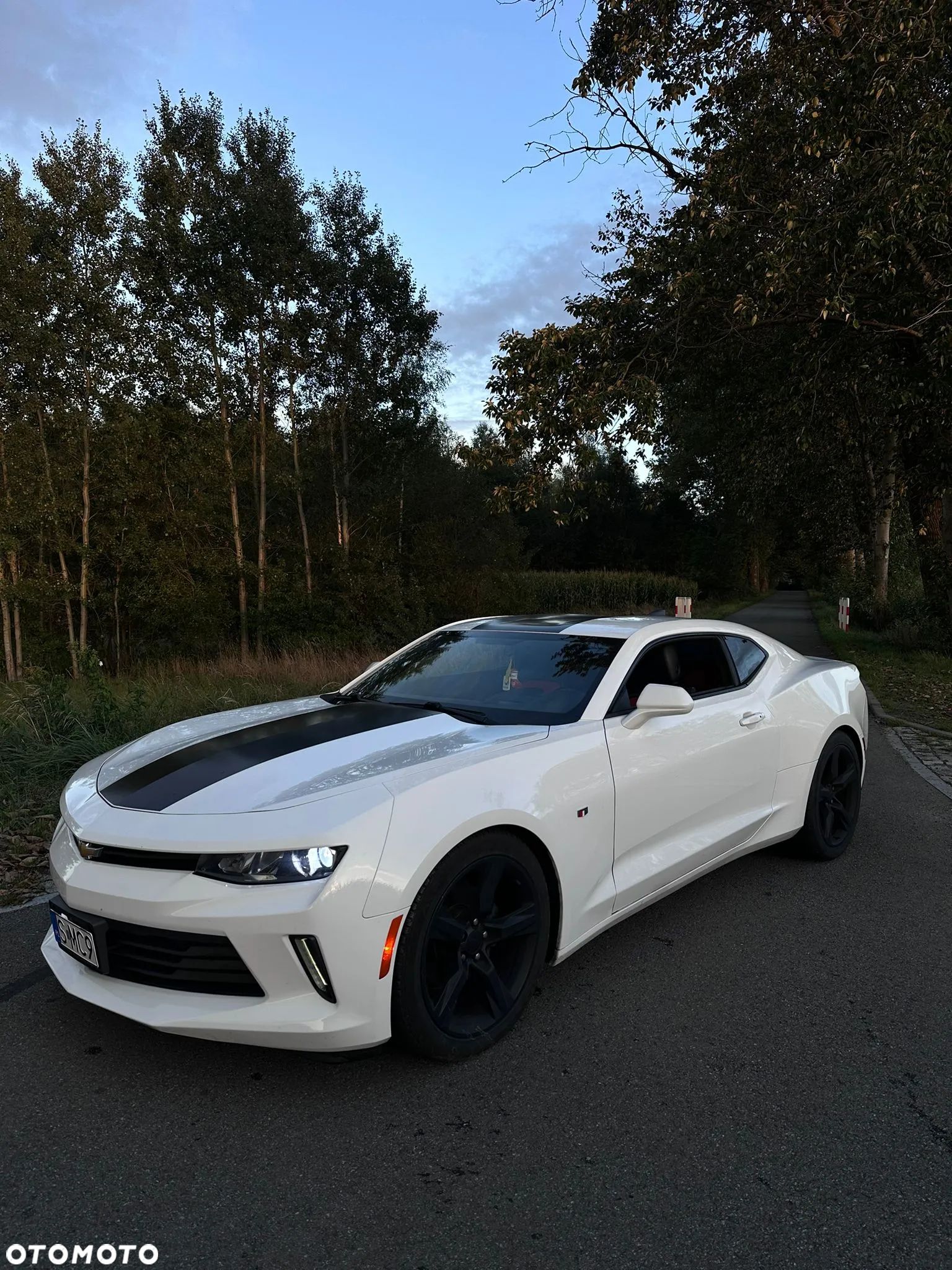 Chevrolet Camaro 3.6 V6 Coupe 2LT - 1