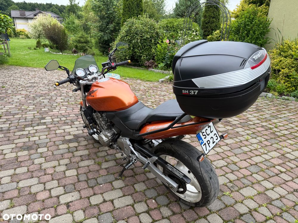 Honda Hornet - 6