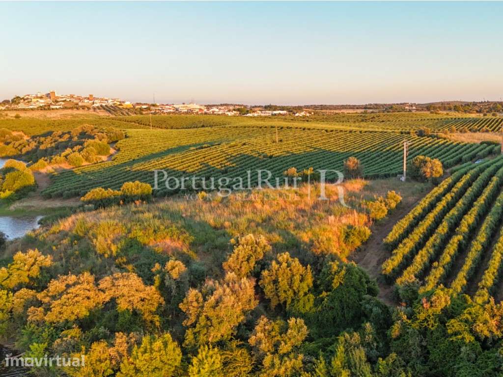 Terreno junto à barragem com Projeto Aprovado para Hotel - Grande imagem: 3/29