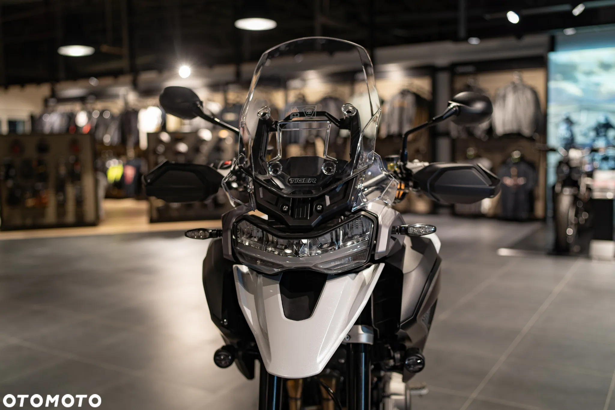 Triumph Tiger - 21