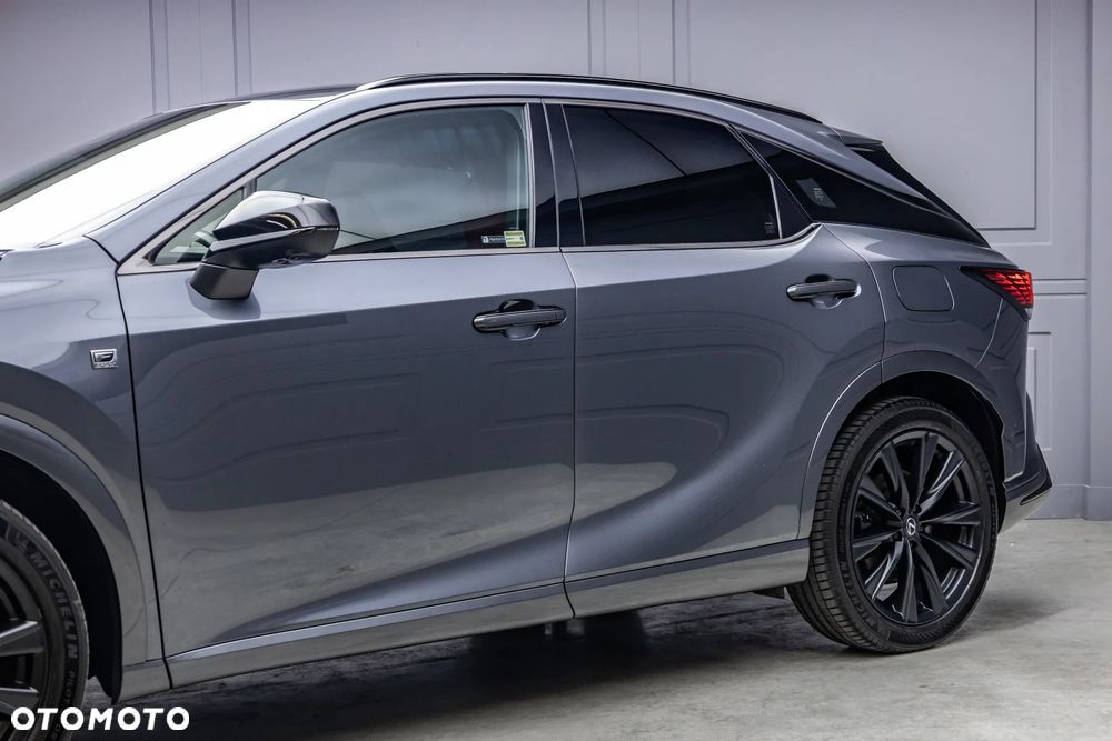 Lexus RX - 14