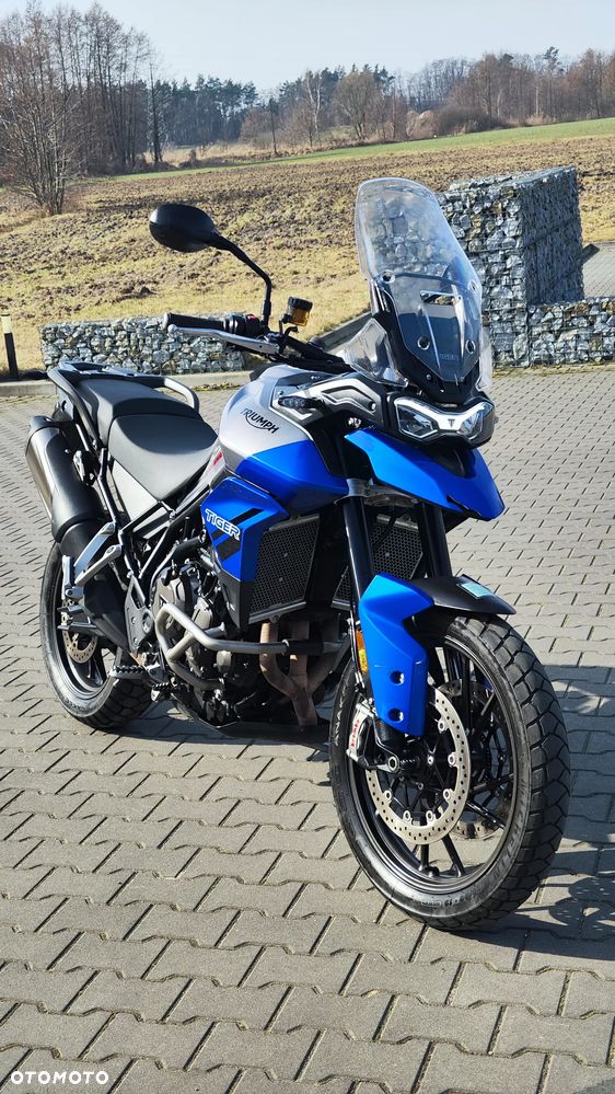 Triumph Tiger - 5