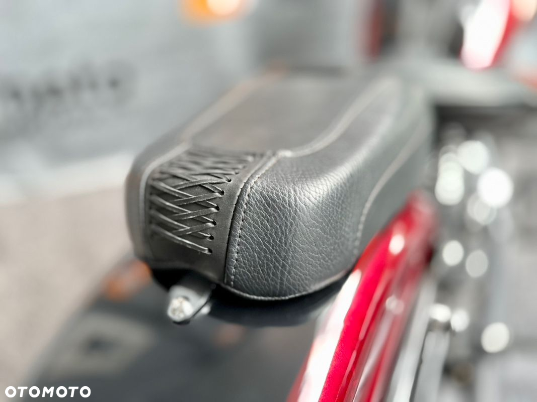 Harley-Davidson Softail Cross Bones - 22