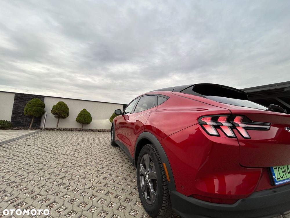 Ford Mustang Mach-E 73 kWh RWD - 14